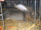 DSCN0352