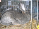 DSCN0356