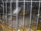 DSCN0357