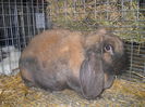 DSCN0365