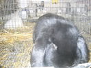 DSCN0371