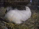 DSCN0385