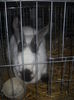 DSCN0391