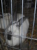 DSCN0392