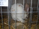DSCN0397
