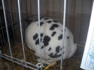 DSCN0398
