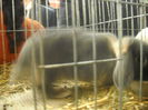 DSCN0436