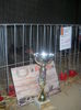 DSCN0267