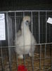 DSCN0272