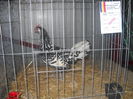DSCN0277