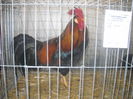 DSCN0287