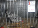 DSCN0290