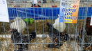 IMG_20150131_011413