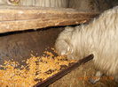 DSCN0846
