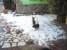 DSCN1750