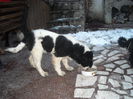 DSCN1754