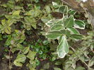 DSCN1659