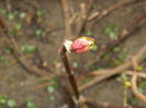 DSCN1661