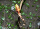 DSCN1662