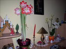 DSCN0874[1]