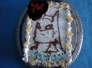 tort pt baiatul meu