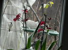 DSCN8417