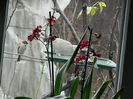 DSCN8421
