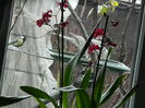DSCN8447