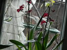 DSCN8448
