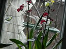 DSCN8450