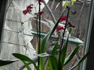 DSCN8453