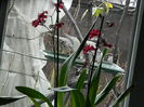 DSCN8464