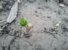 2014-03-28 16.36.05