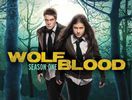 Wolfblood_S1-1387184249