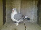 Imag 012975