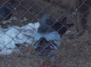 DSCN0276