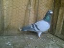 Imag 012984