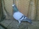 Imag 012986