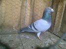 Imag 012988