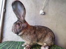 SAM_2008