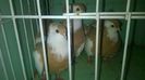WP_20140806_195