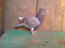 Imag 013043