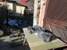 DSCN0376