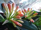 20150214_101541
