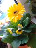 20150214_101625