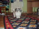 Riky (2)