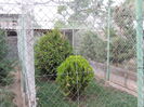 DSCN2433