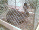 Imag044