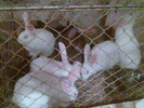 Imag049