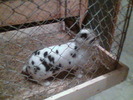 Imag050